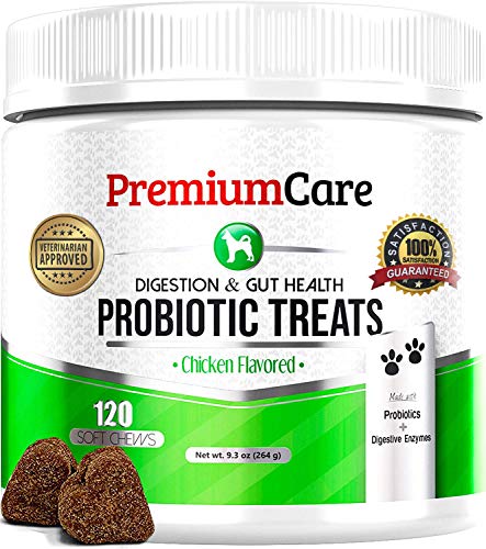 "Advanced Probiotic Supplement for Dogs: Premium Care for Optimal Health"