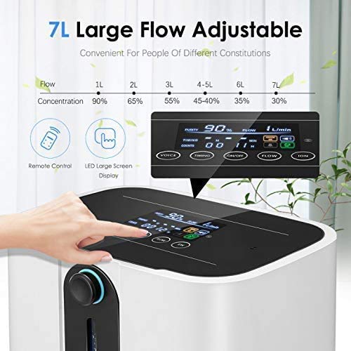 TOPQSC Generador de Concentrador de Oxígeno Portátil,Purificador ...