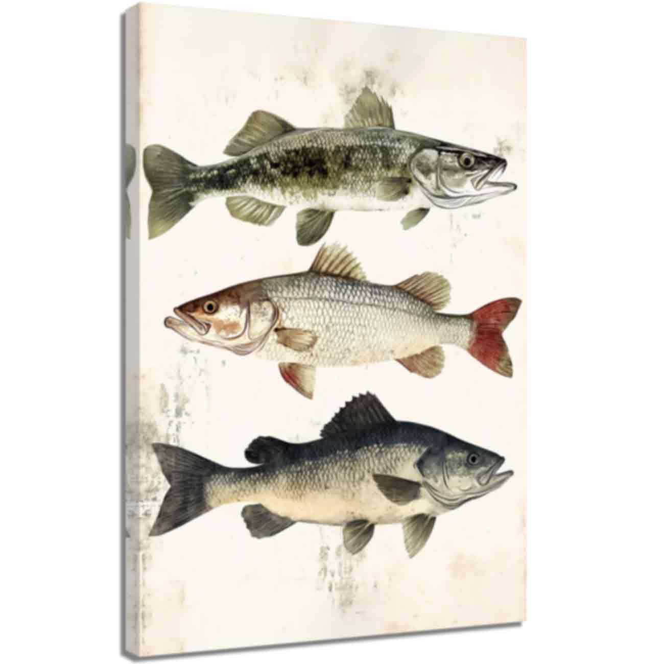 ZQQART Fish Canvas Wall Art Vintage Trout Fish Poster Prints Freshwater Bass Pictures Coastal Decoration for Angler Fishing Enthusiasts Gifts (White,40x60cm)