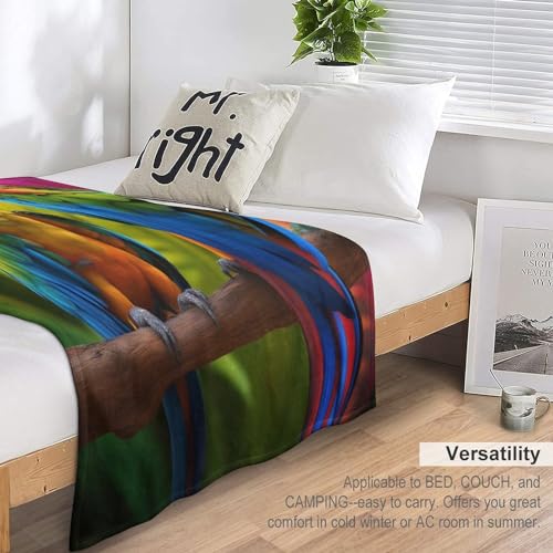 Couverture Flannel Couche Douce sentiment de cocon chaleureux exotique
