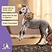 Schleich Horse Club - Andalusian Stallion - 5