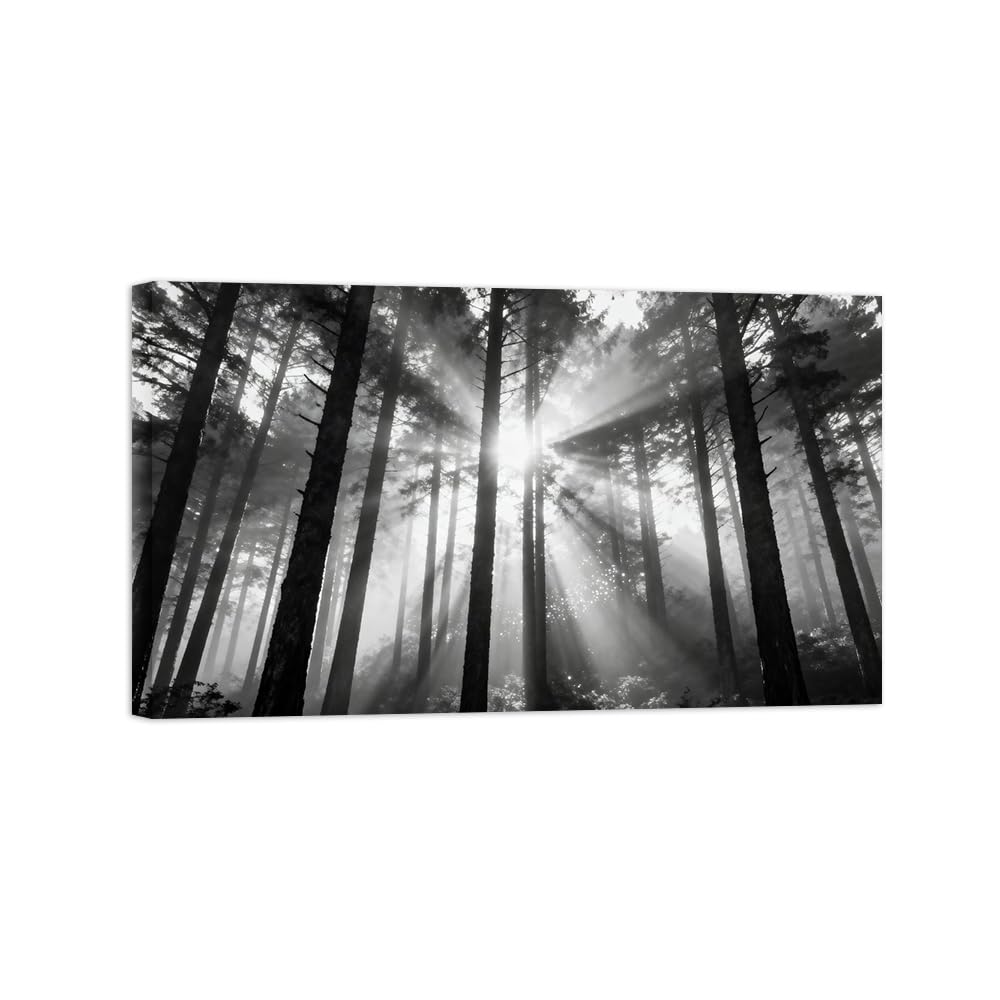 OZPWBVY Black and White Landscape Print Painting-Forest Tree Sunshine 7-Minimalist Canvas Wall Art Picture for Home Ready to Hang 24x39in 60x100cm Wrapped Canvas