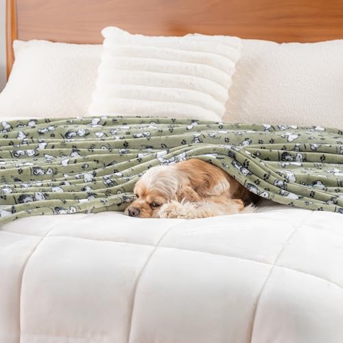 Image of Berkshire Blanket Peanuts VelvetLoft Cute Character Snoopy Plush Throw Blanket,Peanuts Poses and Paws Loden,Throw 55 in x 70 in (Official Peanuts Product)