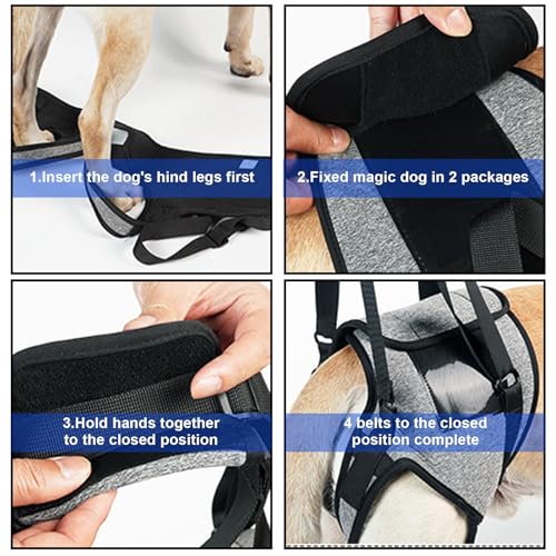 Tragehilfe Hund Hundehebegeschirr Tragegeschirr Hundeschlinge: Hundestützgeschirr Für Die Hinterbeine Mit Handgriff, Verstellbare Gehhilfe Für Verletzte Behinderte Kleine Mittlere Große Hunde (L)