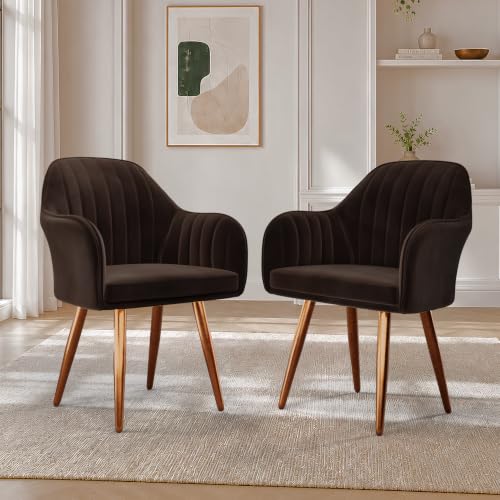 Image of Vergo Plush Velvet Dining Chair, Cushion Seat, Wooden Frame, Metal Legs, Premium Accent Chair for Living Room, Bedroom, Dining Room, Cafe & Restaurant (Set of 2, Dark Brown)