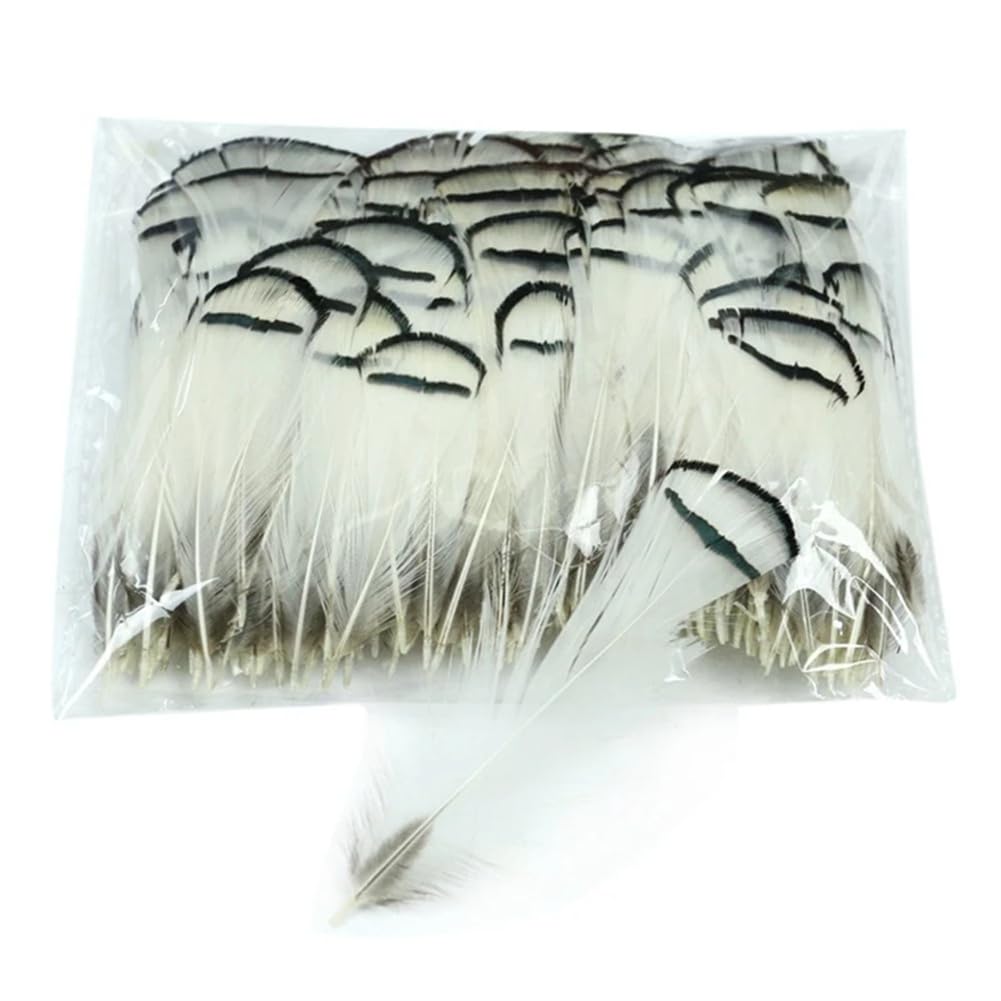 Piume naturali di fagiano, Piume di fagiano naturali realizzate a mano 4-8 cm Confezione multipla artigianale fai-da-te(200 Piece)