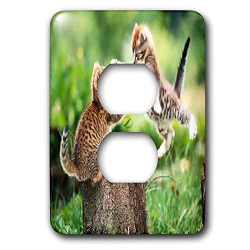 Cache-prise pour 2 prises 3dRose lsp_62379_6 motif chatons pour décoration murale