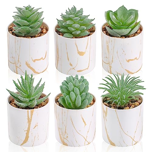 Der Rose 6 Pack Small Fake Plants Succulents Plants Artificial in Pots for Home Office Desk Decor for Women 6-white
