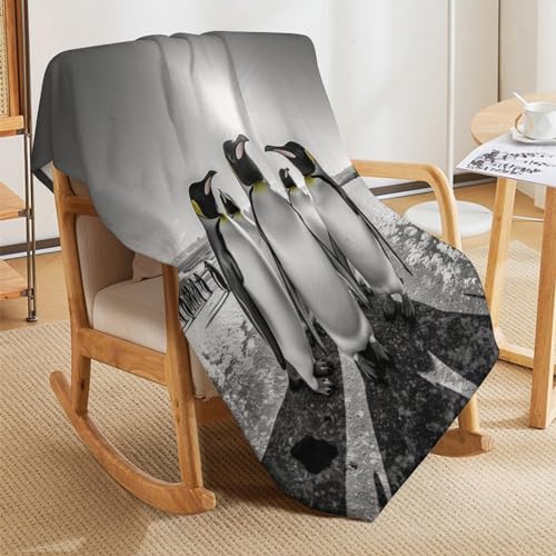 Manta de pingüino transpirable de microfibra ligera para cama matrimonial de 180x200 5