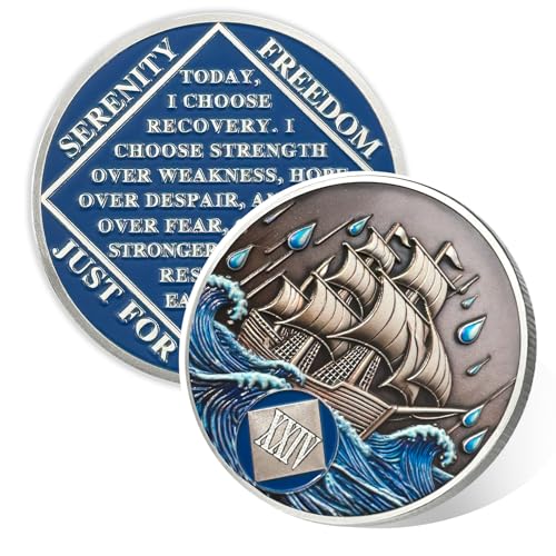Image of Braving The Storm 24 Year Sober Coin, Nautical NA Coin, Addiction Recovery Twenty-Four Year Sober Chip, Celebrating Recovery Anniversary Token, Narcotics Anonymous Sobriety Gifts for Men Women