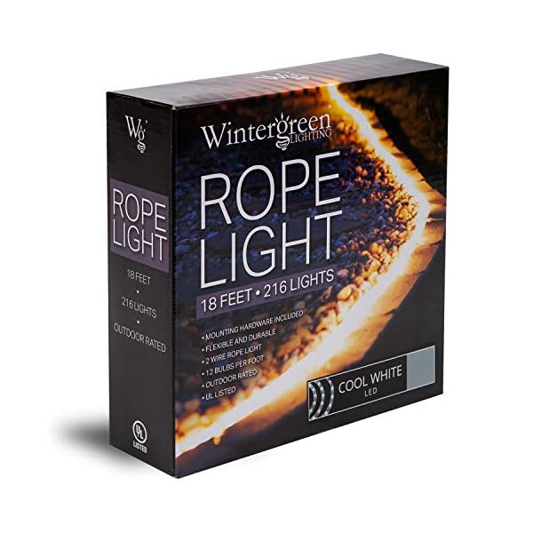Wintergreen lighting led rope light, led flexible light rope string light outdoor – led light rope bedroom portable led light rope, 120v, ½ inch, 2-wire - image 9