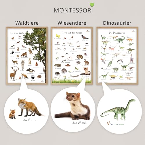fantassimo® 12 pädagogische Montessori Lernposter A3 Alphabet Zahlen Poster für Kinder Vorschule Grundschule, Bilder Kinderzimmer Klassenzimmer Deko Jungen Mädchen