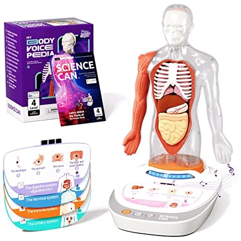 Science Can Human Body Anatomy Model for Kids, 23 Parts with Stand and Guide Book, Build Your Own Human Body, Interactive STEM Educational Science Kit for Kids Aged 8+ Gifts Cover