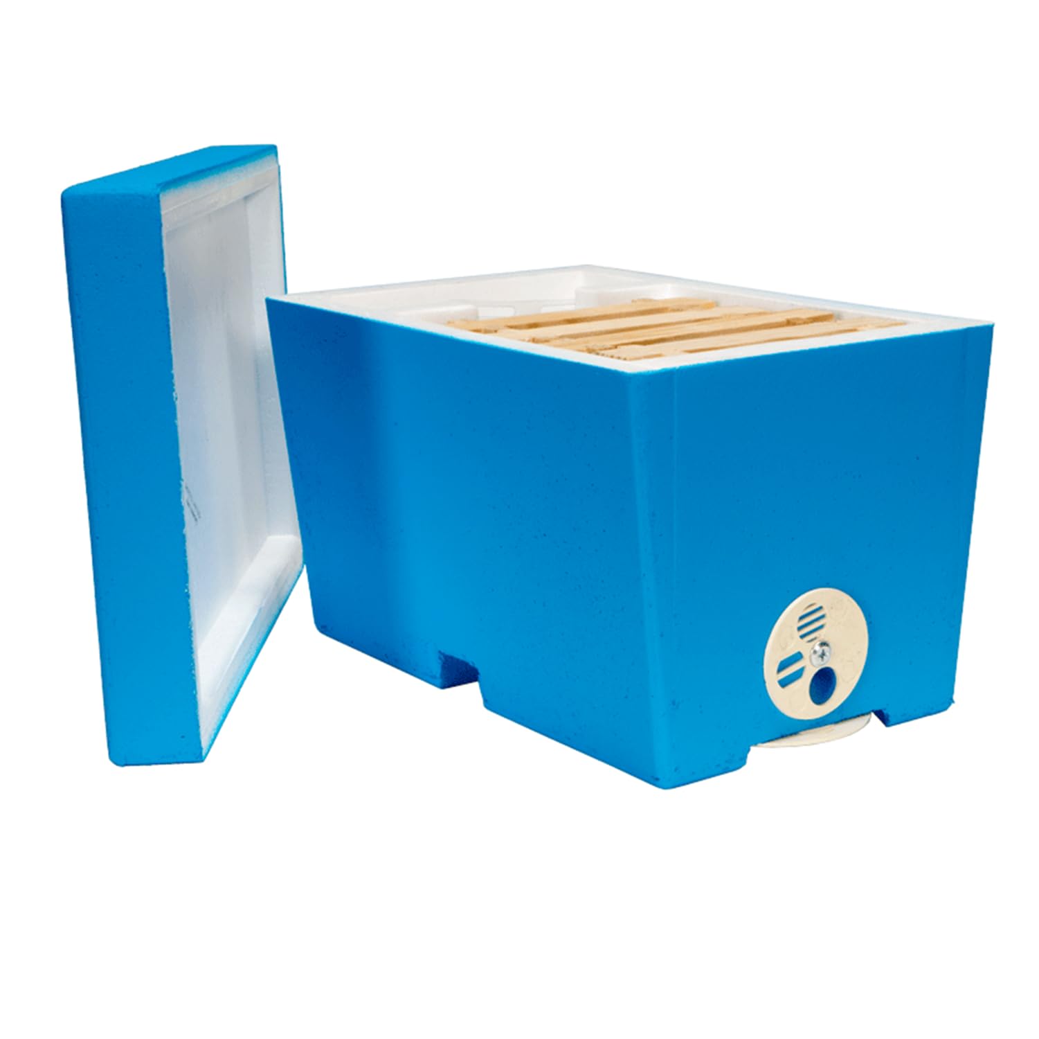 LYSON Mini ruche d'abeilles pour une famille en polystyrène peint - Règle de mariage - Accessoires d'apiculture