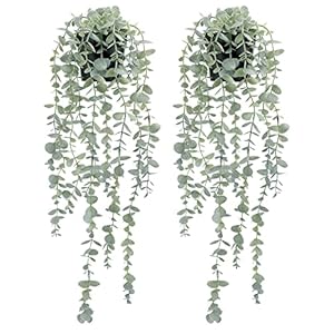 COCOBOO 2pcs Artificial Hanging Eucalyptus Plants for Shelf, Fake Potted Plant Fake Drooping Plant for Wall Room Home Patio Indoor Outdoor Décor COCOBOO 2pcs Artificial Hanging Eucalyptus Plants for Shelf Fake Potted Plant Fake Drooping Plant for Wall Room Home Patio Indoor Outdoor Decor