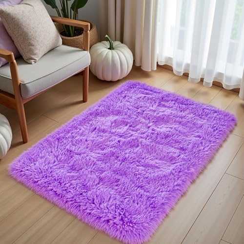 Purple Area Rugs for Bedroom Living Room, 2x3 Soft Fluffy Fuzzy Shag Plush Furry Carpet, Large Indoor Floor Mat for Kids Nursery Home Dorm Office Decor Aesthetic