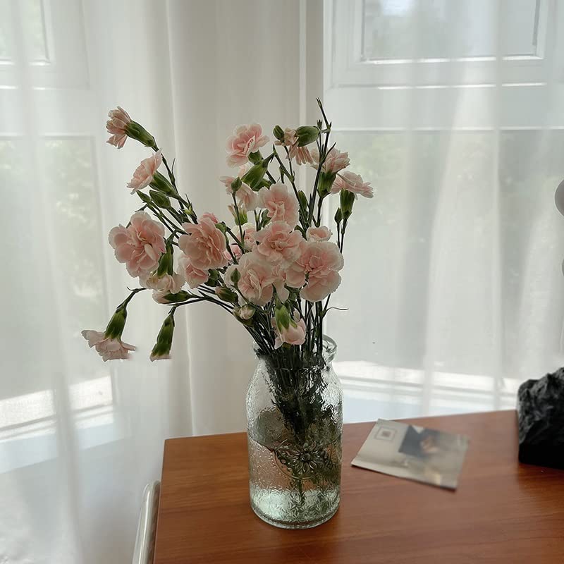 Vase en verre vintage transparent pour salon et table à thé