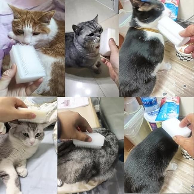 3 Pack Cat Grooming Brush Cat Soft Brush with Gentle Bristle Comforty Massage Double-Sided Tongue Brushes for Pet Hair Removal Comb BrushES Floating Hair Removal Comb CatS Dog Accessories-JtecvfXW
