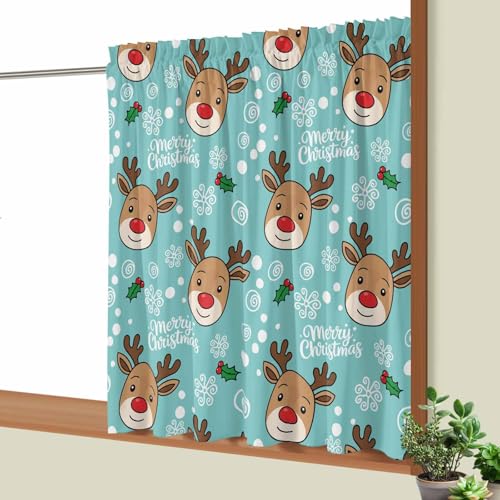 Tuyouixinnen JtFJ[e p J[e fM ՔM ډB  k Ԏd؂ iX  ʏ   [NX}X x[  Lb`  O猩ɂ 100×110cm