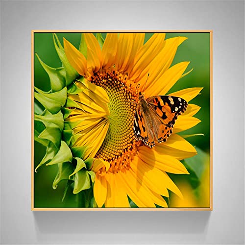 Tableau Tournesol Jaune et Papillon 50x50cm Deco Fleur Cuisine