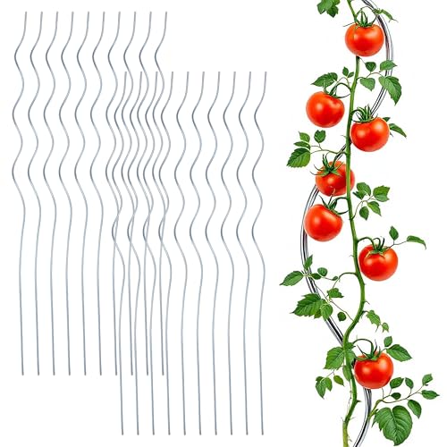 Tomaten Spiralstab verzinkt 110 cm - 20er Set - Metall Rankstab für Tomatenpflanzen - Kletterhilfe Rankhilfe Tomatenspiralstab Pflanzenstütze...