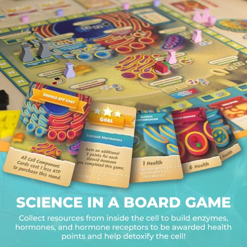 Cytosis: A Cell Biology Board Game | A Science Accurate Strategy Board Game About Building Proteins, Carbohydrates, Enzymes, Organelles, & Membranes | Fun Science Games for Adults & Family Game Night - Image 5