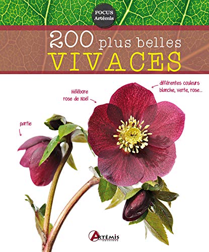 Télécharger 200 plus belles vivaces livre En ligne