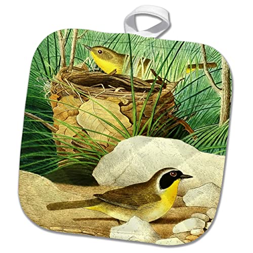 3Drose Vintage Bird Art Print Common Yellowthroat Yellow Birds Nest... - Potholders (Phl-364676-1) #TOP17