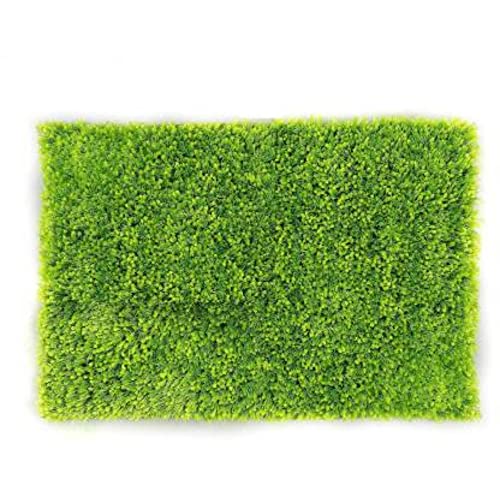 Image of Anti Skid Doormats for Home and Office Entrance Living Room and Bathroom Mats | Entrance Door Mats for Home and Office Entryway. (Solid Green, 20x32)