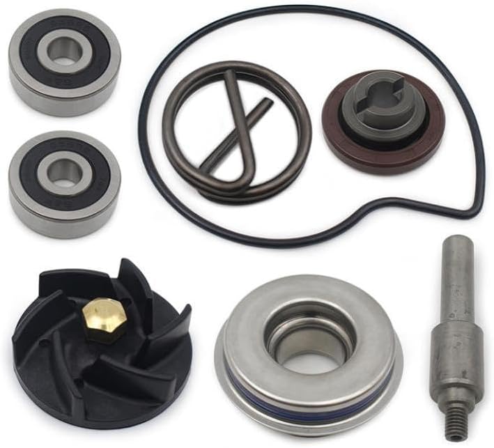 Water Pump Repair Kit Compatible With GTS GTS Super GTV GT 60 250 300ccm 4T Water Seal Oil Seal Gasket Universal Fit Aftermarket Replacement