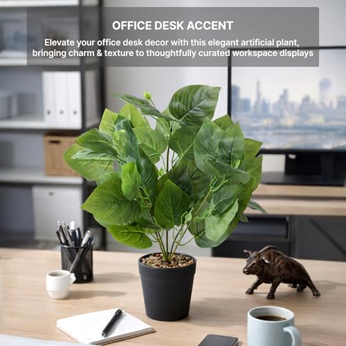 Image of Habere India-All the Cultures Fabricating India Tropical Philodendron Artificial Plants with Pot for Home Decor | Small Fake Plants for Living Room & Indoor Decoration (Design06: L9 x W9 x H40 cm)