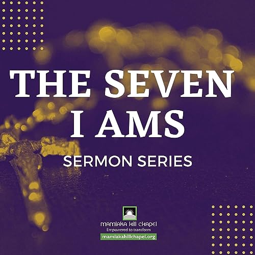 THE SEVEN I AMS SERIES cover art