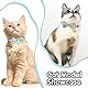 2 Stück Katzenhalsband mit Glocke und Sicherheitsverschluss,Dinosauriermuster Halsband Katze,Fliege Verstellbar Cat Collar für Kätzchen und Welpen