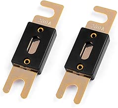 LEIGESAUDIO 300 Amp Copper ANL Fuses Gold Plated Fuse 2 Pack (300Amp) - coolthings.us