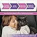 Cat Pheromones Calming Diffuser Refill 6 Pack Calming Pheromone Diffusers Refills Relieve Stress Anxiety Reduce Spraying Scratching and Fighting for Cats Calm Fit All Common Diffusers Plug In 48ml