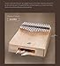 17 Keys Thumb Piano Finger Piano Hand Piano, Wood Finger Piano with Tuning Hammer Protect Bag, Pocket Thumb Finger Piano Body,Mbira Piano for Music Lover (19cm X 14c Fengmu