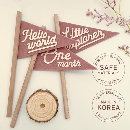Image of Baby Monthly Milestone Pennant Flag Signs | Natural Wood and Soft Felt | Baby First Year Photo Props, Nursery Decor, Newborn Birth Announcement, Baby Shower, Newborn Gift, Pregnancy Journey, Keepsake (Pink)