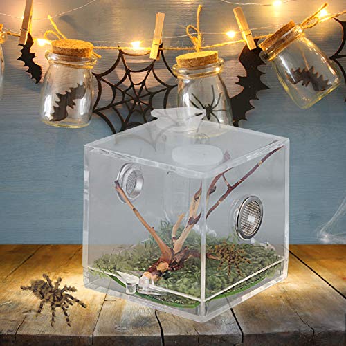 Alipis Spider Terrarium Spider Habitat Box Reptile Breeding Box with ...