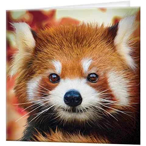 3D LiveLife Greeting Card - Baby Red Panda from Deluxebase Colourful Panda Lenticular 3D Card for Any Occasion and Age. Original Artwork Licensed from Renowned Artist, David Penfound Cover