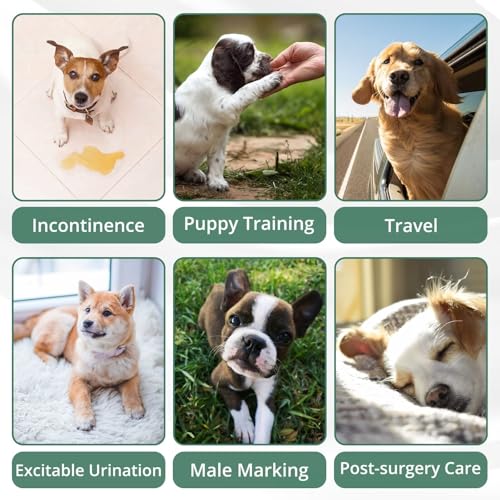 Image of Paw Legend Washable Dogs Diapers Male Dog Belly Bands for Male Dogs Diapers Reusable Puppy & Doggie Diapers Male (3 Pack, X-Large)