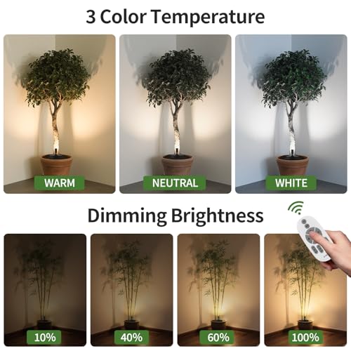 Image of Zoomable Spot Lights Indoor, Wireless 3300mAh Rechargeable Spotlight, Uplights Indoor with Remote Dimmable, 3CCT & Timer, Uplighting for Accent Lighting, Plant, Tree, Artwork,Pictures (1 Pack)