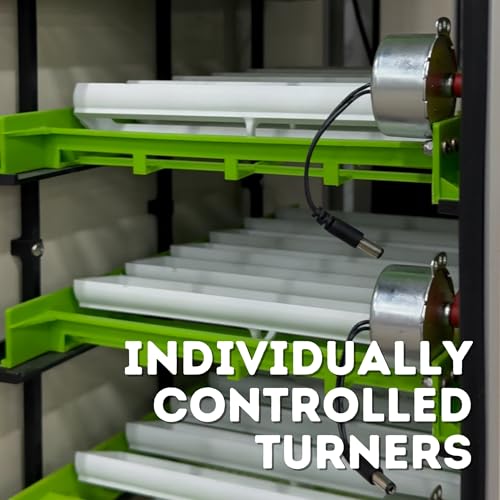 CT180SH Egg Incubator for Hatching 180 Eggs – Automatic Egg Turning & Humidity Control Cabinet | Large Chicken Incubator & Quail Incubator by Hatching Time