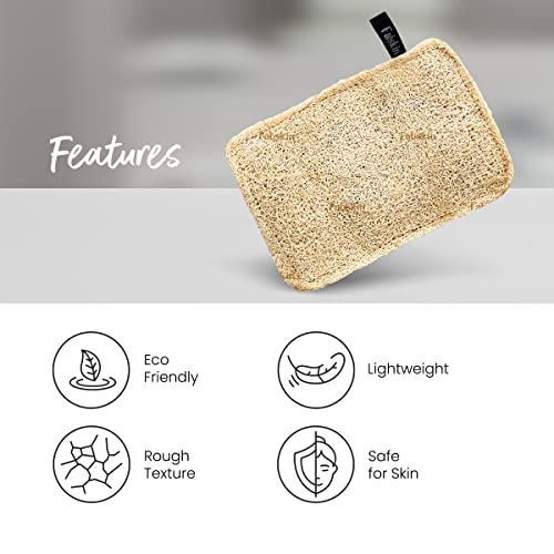 Image of Fabskin Natural Loofah Body Scrubber For Bathing For Men & Women I Body Sponge Scrubber for Bathing | Organic Luffa for Bath Shower Skin Exfoliation (Pack 4)