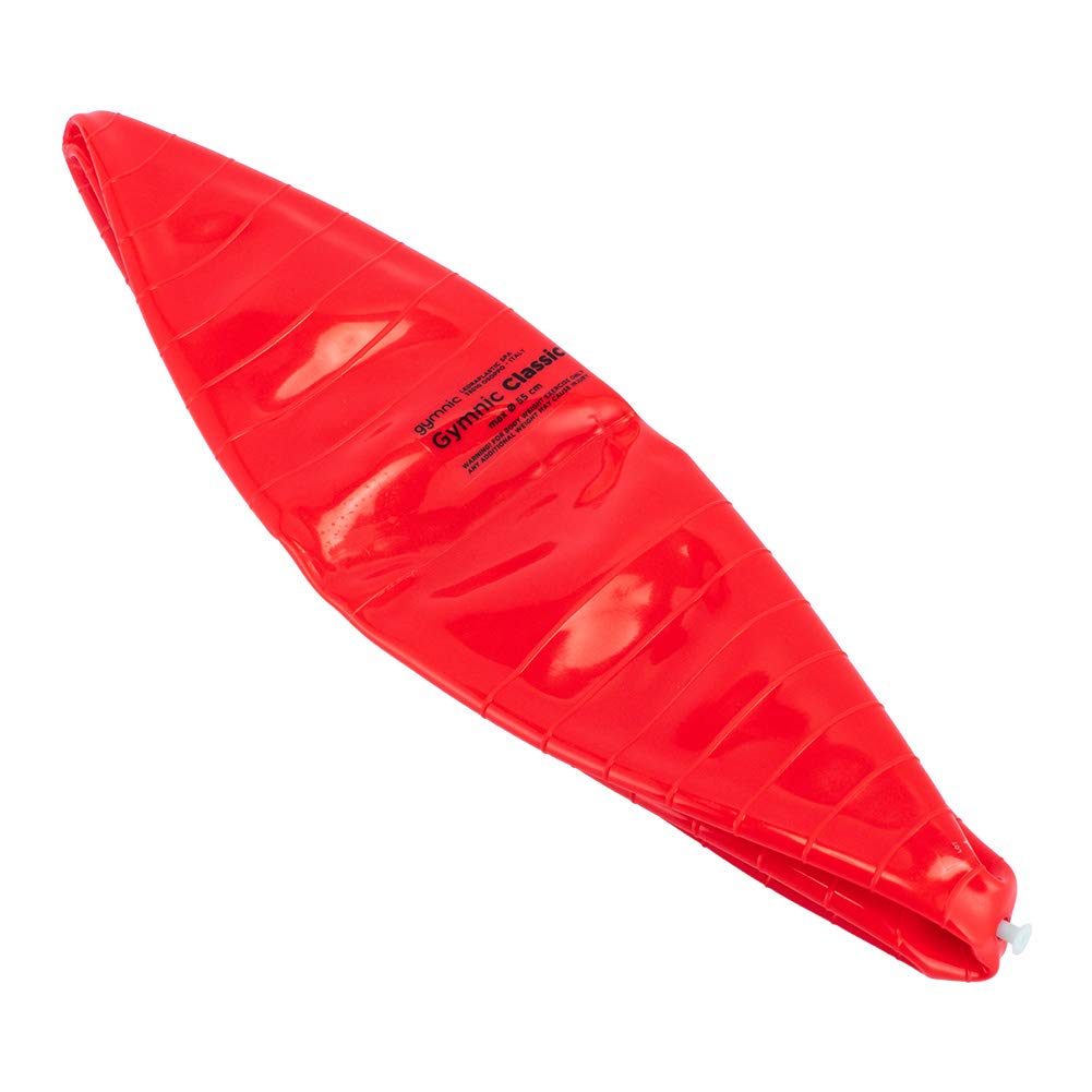 Amazon.co.jp: [ ギムニク ] Gymnic バランスボール 55cm Gymnic