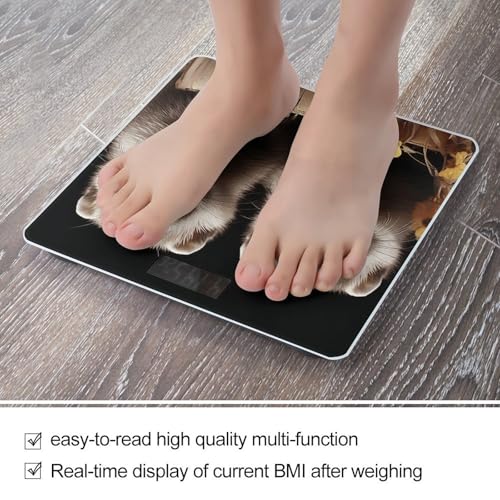 Báscula digital Ferrets de vidrio templado para baño miniatura 5