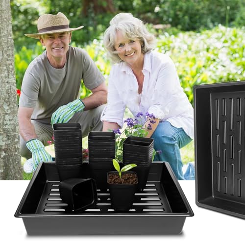 Rootrimmer 3.5 Inch (9Cm) Square Nursery Pots 60Pcs thumb #6