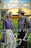 Love in Plain Sight (An Amish Mail-Order Bride Novel Book 3)