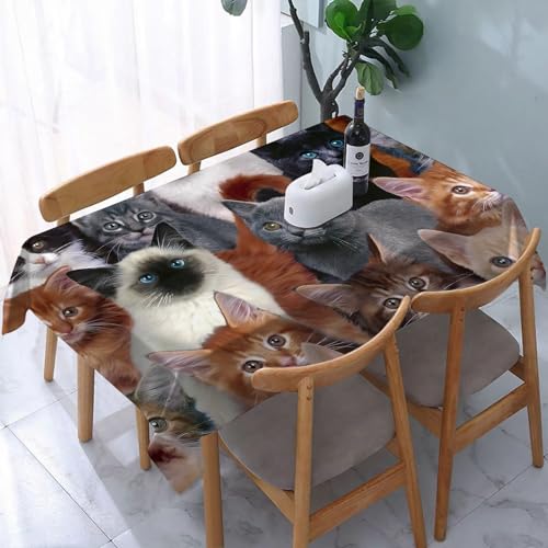 reyawdf Rectángular Mantel Antimanchas Tamaño 137x183cm EstiloTema Lindo Gatito Gato Durabilidad y Fácil Limpieza para tu Mesa - Mantel Hule Antimanchas e Impermeable