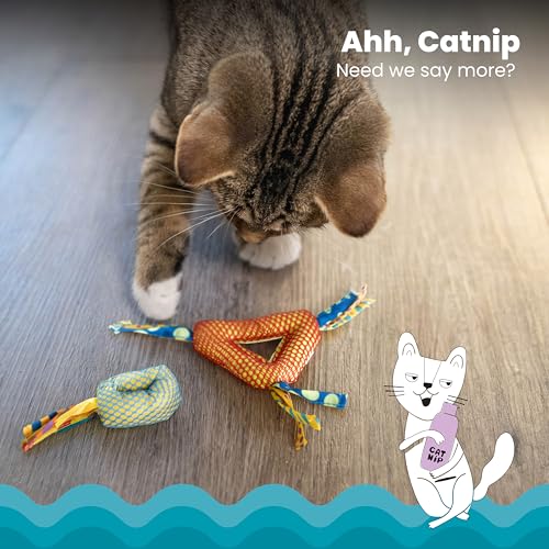 Petstages Catnip Dental Health Chews - Zahnpflege-Kauspielzeug für Katzen - Katzenminze - Mehrfarbig - 2 Stück