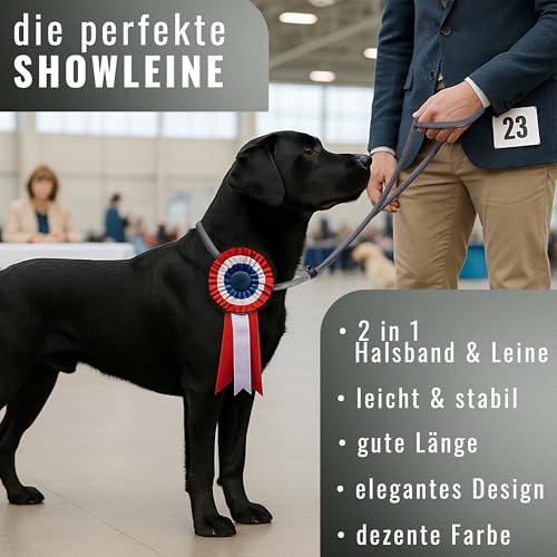 Retrieverleine 150 cm für große & kleine Hunde – Halsband mit integrierter Leine – Slip Leash & Trainingsleine Hund – Führungsleine für Labrador & Retriever - Ruckdämpfer (Anthrazit, bis 5 Kg)